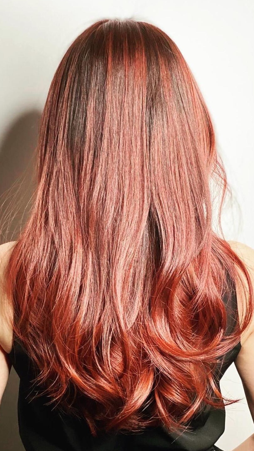 salonplus20250406_rsBknQ