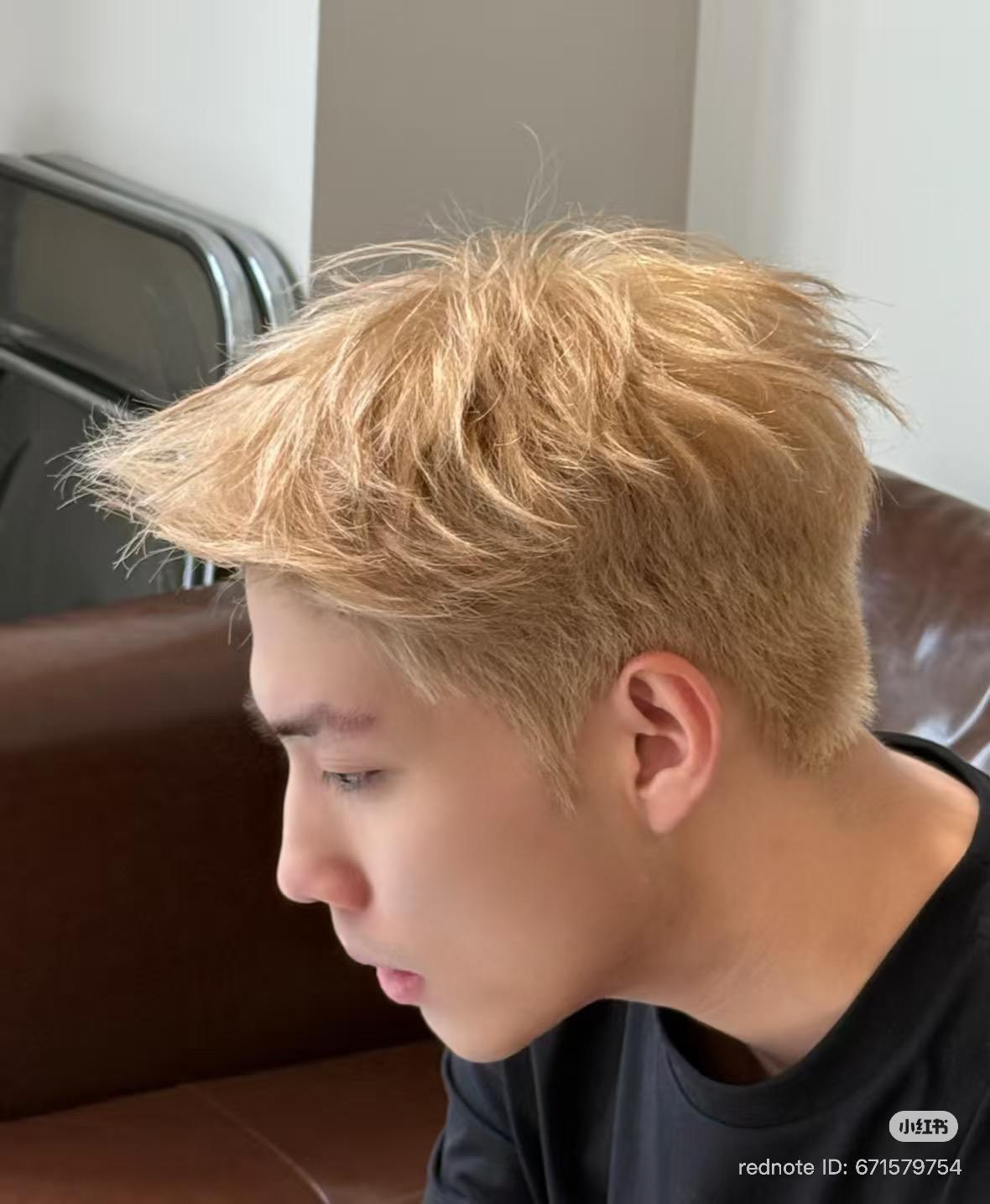 Cut + Korean Perm + Treatment